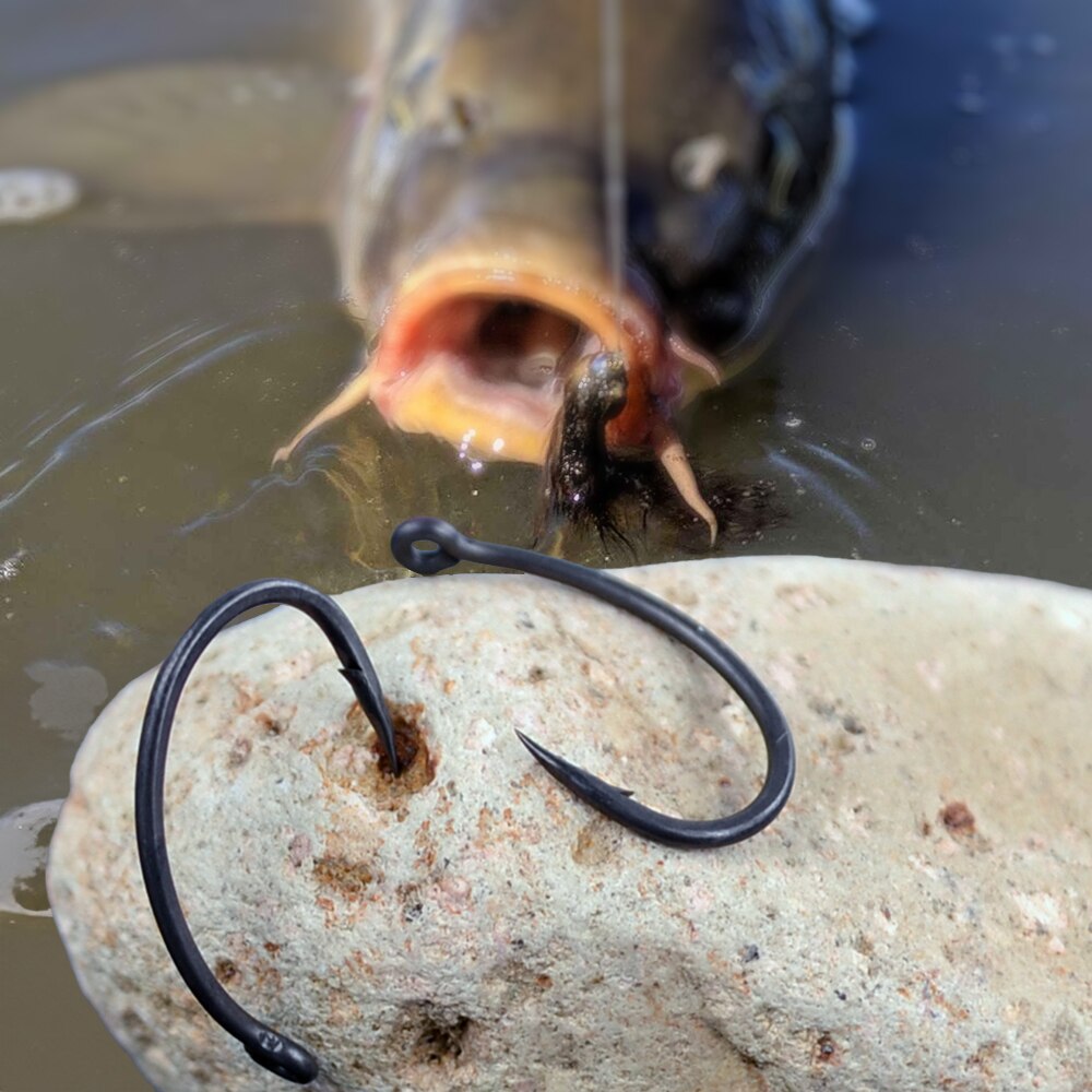 Hirisi ปลาคาร์พตะขอตกปลา 50 ชิ - Fishing Hook Offset บทวิจารณ์และราคา