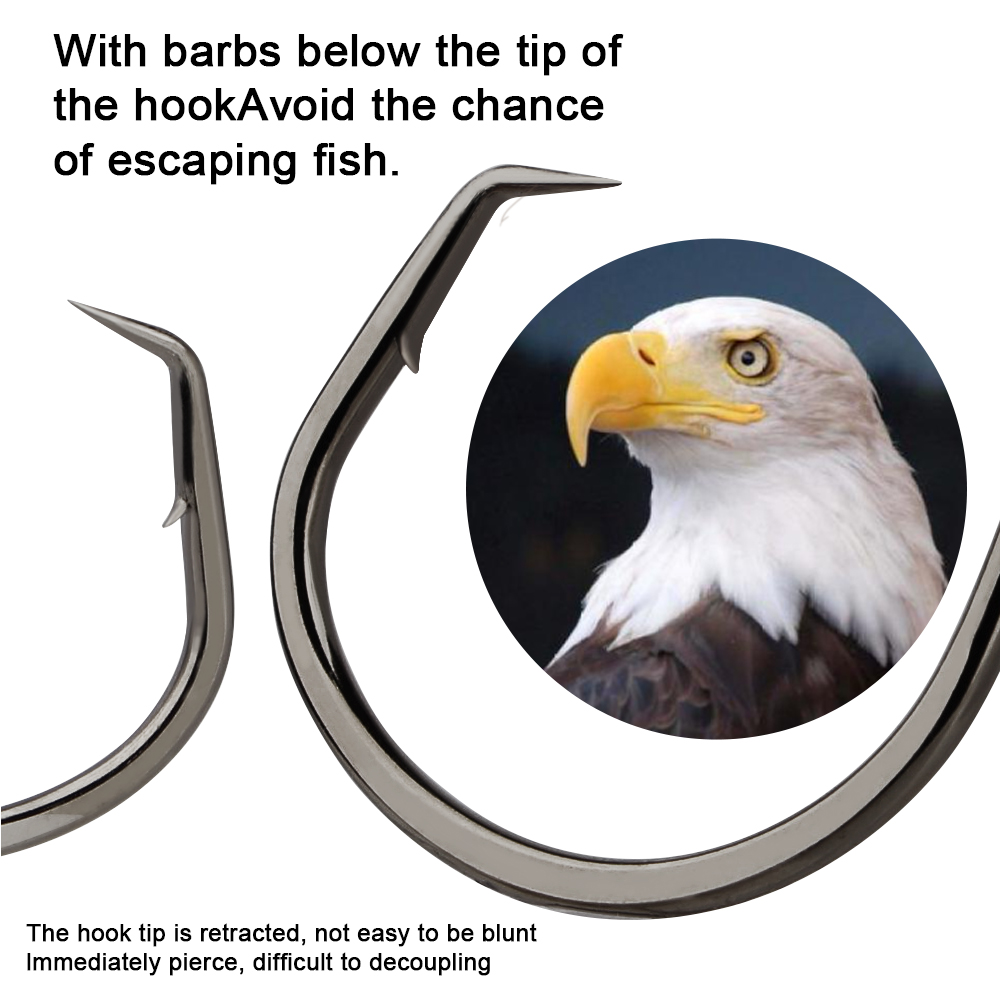 ตะขอเบ็ดตกปลา FTK ตะขอวงกลมสำห - Fishing Hook Circle บทวิจารณ์และราคา